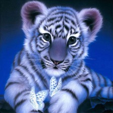 5D Tiger Diamond Painting Kit Wall Art 30x30cm ZY-024