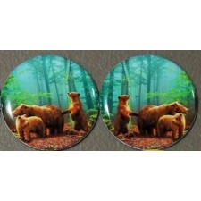 1" Epoxy Cab - Bear Family (Pair)