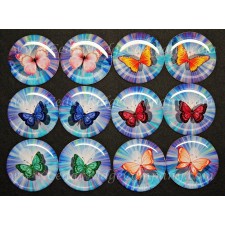 Aurora Butterfly - One Inch Round epoxy Cab Set of 12