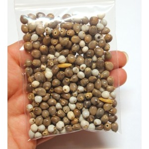 Real Seed Beads Drilled. 2x3" Bag full