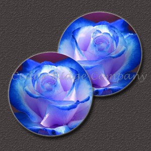 1" Epoxy Cab - Blue Rose (Pair)