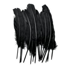 Goose Feathers 8 inch Black x 18