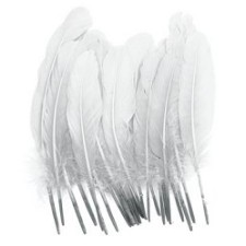 Goose Feathers 8 inch White x 18