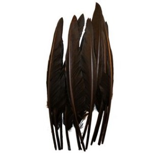 Goose Quills Feathers 12 inch Black x 5