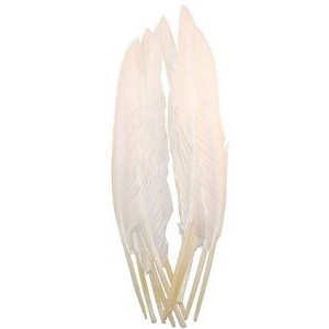 Goose Quills Feathers 12 inch White x 5