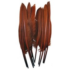Goose Quills Feathers 12 inch Brown x 5