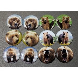 Grizzly Bear Set - One Inch Round Cab Set of 12