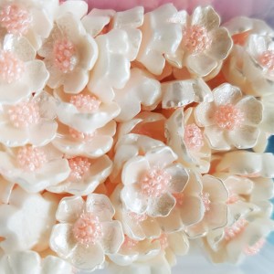 10pc Imitation Pearl Resin Cabochons, Flower, White , 12x12.5x3.5mm