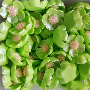 10pc Imitation Pearl Resin Cabochons, Flower, Green , 12x12.5x3.5mm