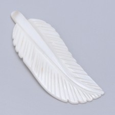 58x21mm Carved Natural Freshwater Shell Cabochon Leaf, Feather 1pc