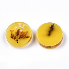 2pc Real Dried Flower and Seeds Epoxy Resin Yellow 20mm Round Flatback Cabochon